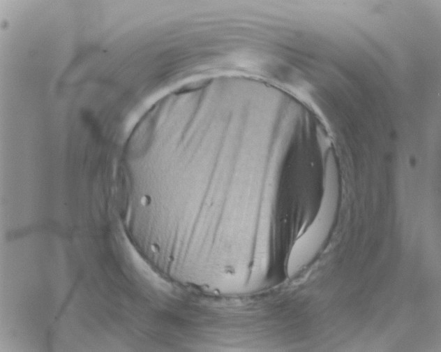 X0000065251524200603131115