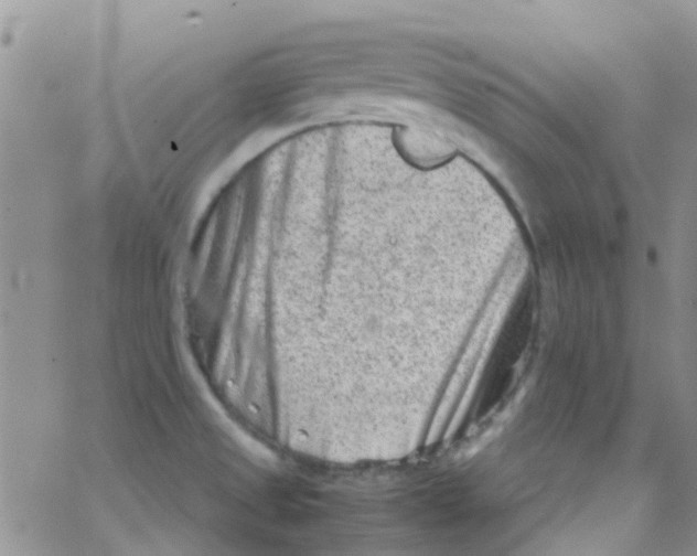 X0000065251525200603131115