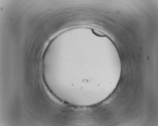 X0000065251526200603131115