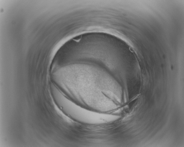 X0000065251527200603131115