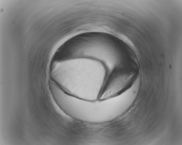 X0000065251528200603131115