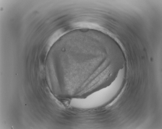 X0000065251529200603131115