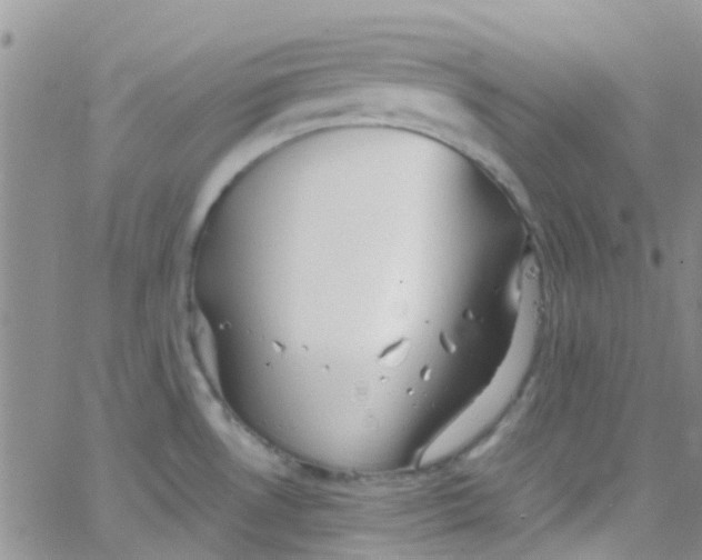 X0000065251530200603131115