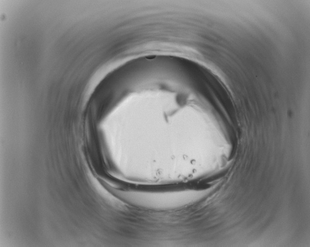 X0000065251531200603131115