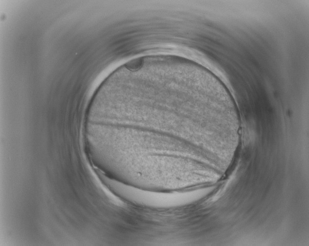 X0000065251533200603131115