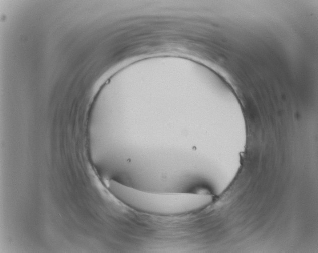 X0000065251534200603131115