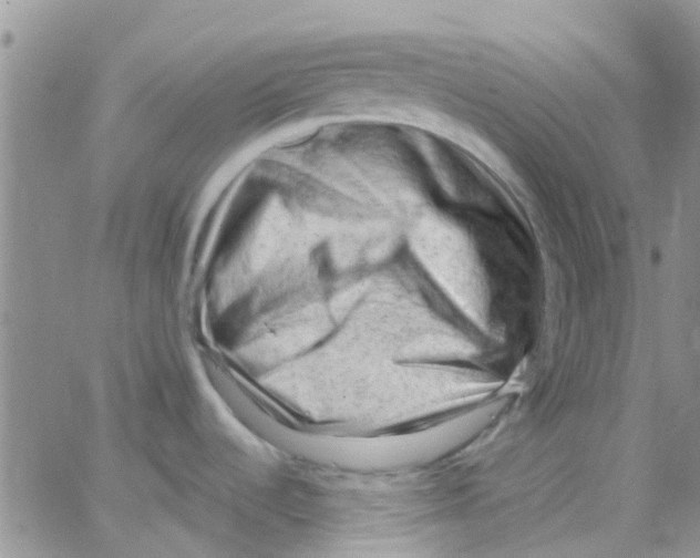 X0000065251536200603131115