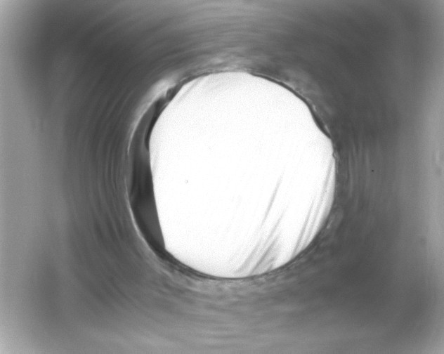 X0000065250003200603172216