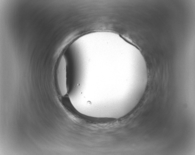 X0000065250005200603172216