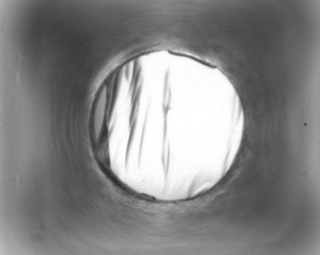 X0000065250007200603172216