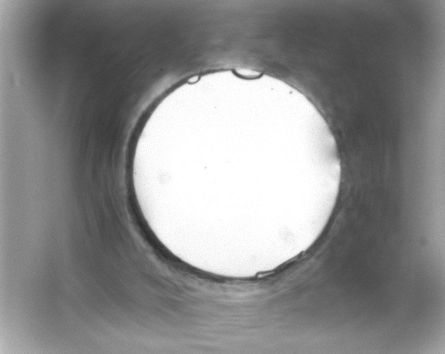 X0000065250008200603172216