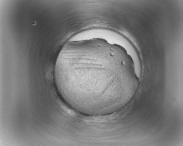 X0000065250009200603172216