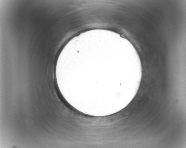 X0000065250011200603172216