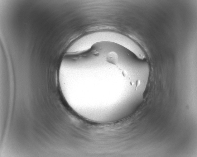 X0000065250013200603172216