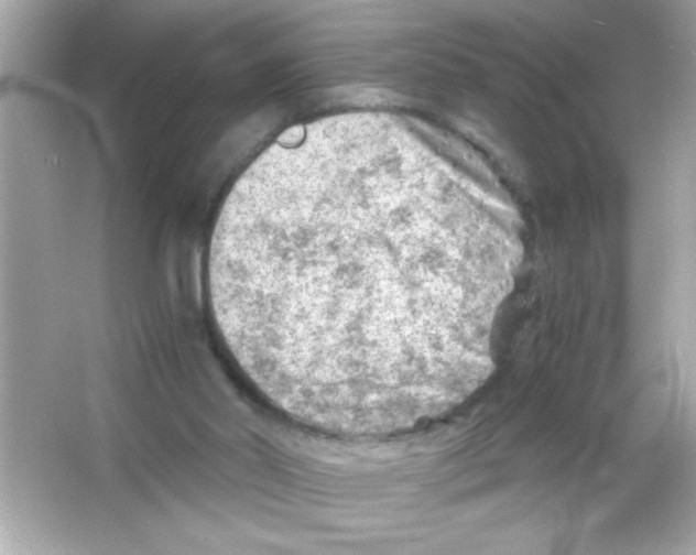 X0000065250014200603172216