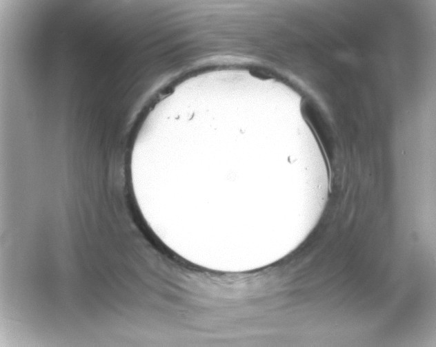 X0000065250015200603172216