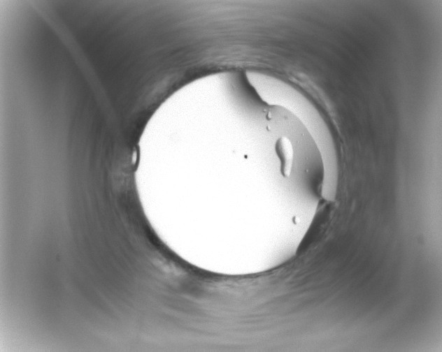 X0000065250017200603172216