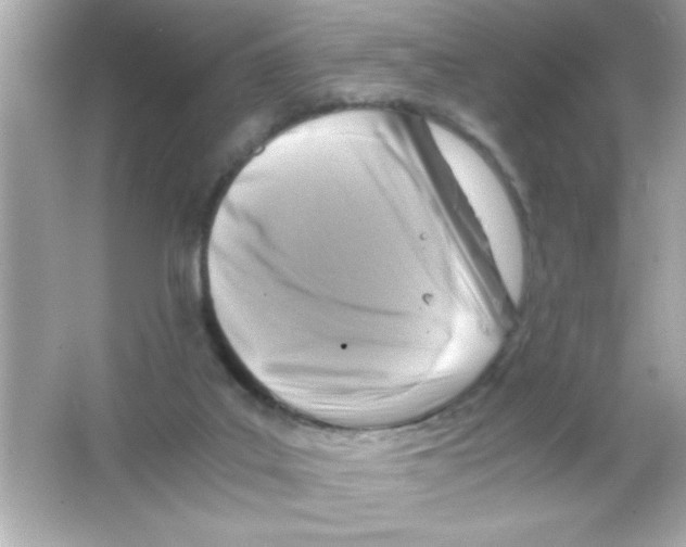 X0000065250019200603172216