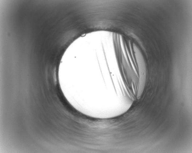 X0000065250020200603172216