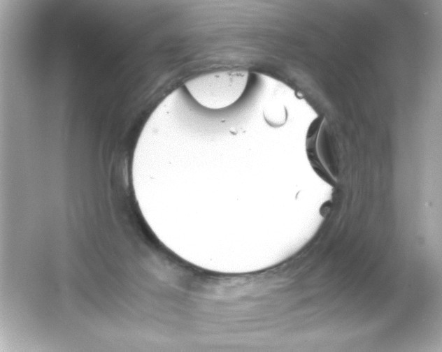 X0000065250021200603172216