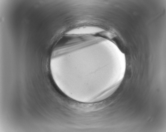 X0000065250023200603172216