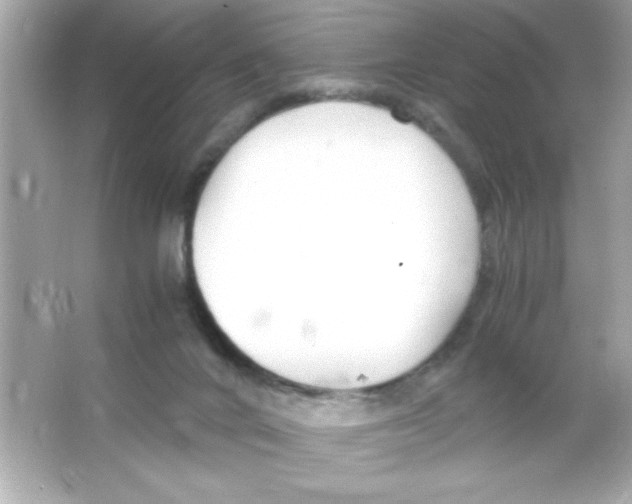 X0000065250024200603172216