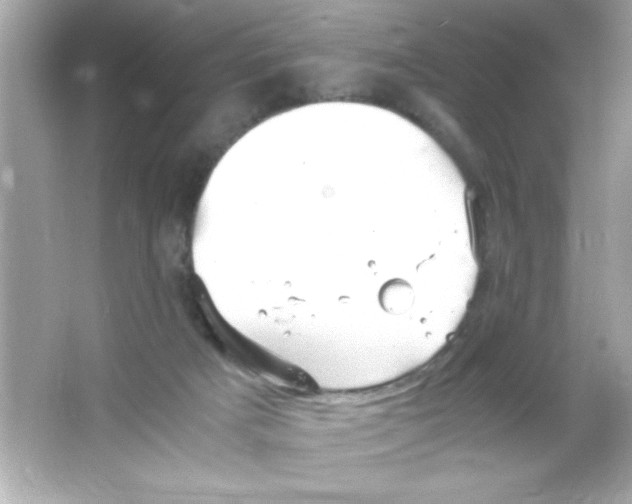 X0000065250025200603172216