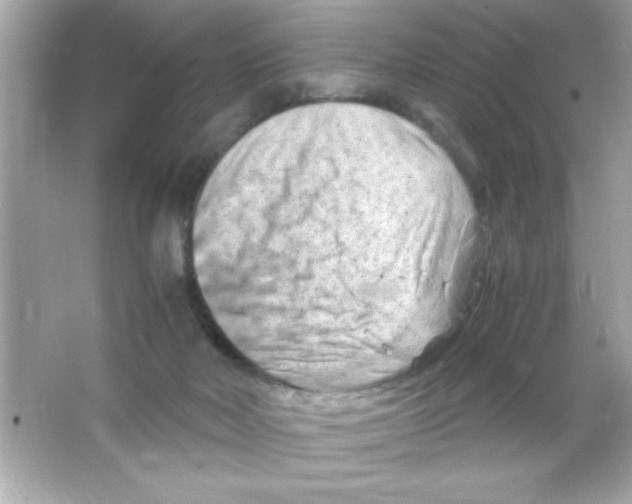 X0000065250026200603172216