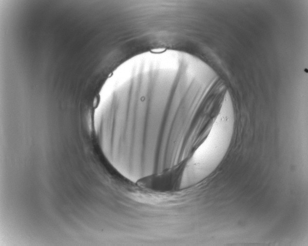 X0000065250027200603172216