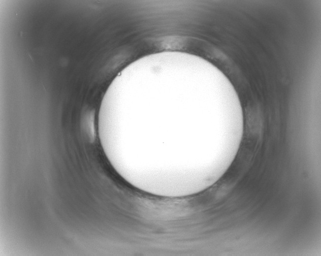 X0000065250028200603172216