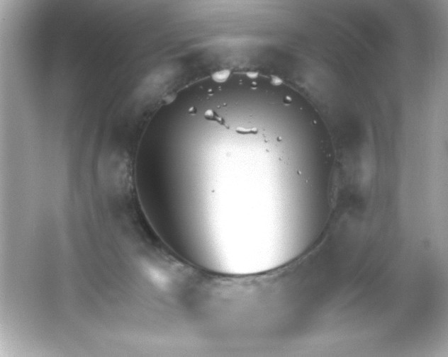 X0000065250029200603172216