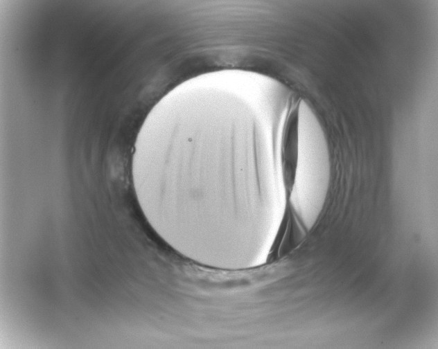 X0000065250031200603172216