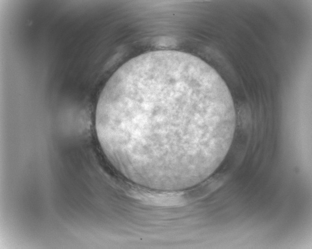 X0000065250032200603172216