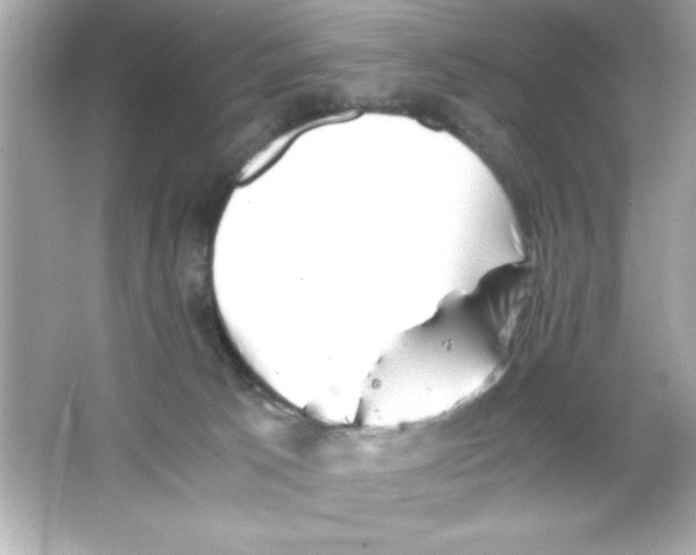 X0000065250033200603172216