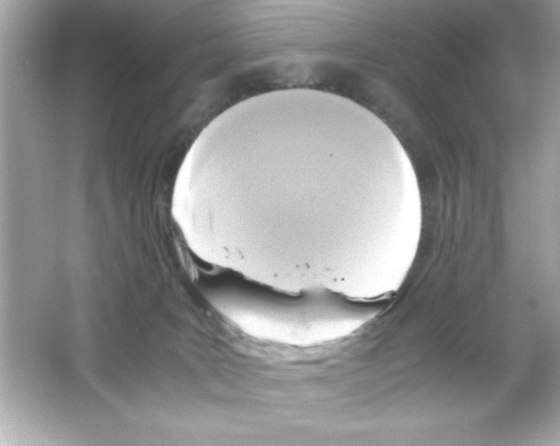 X0000065250035200603172216