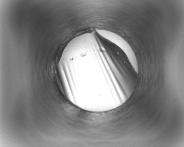 X0000065250037200603172216