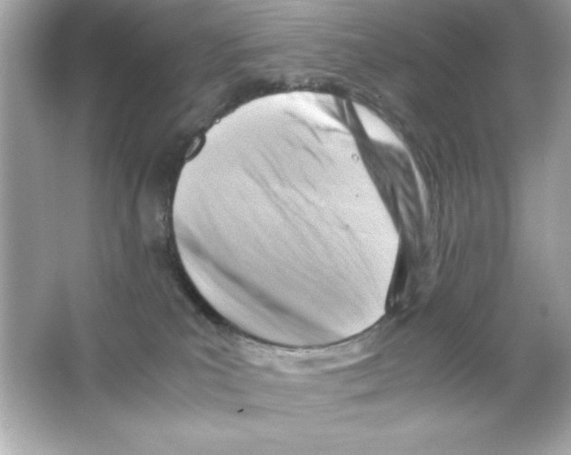 X0000065250039200603172216