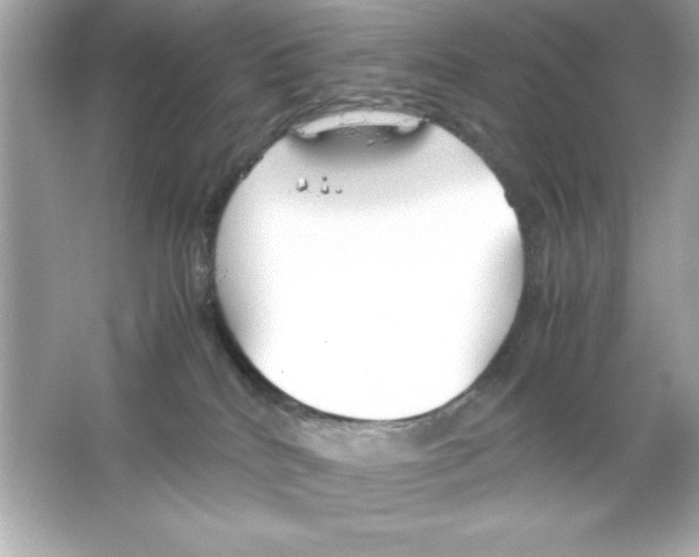 X0000065250040200603172216