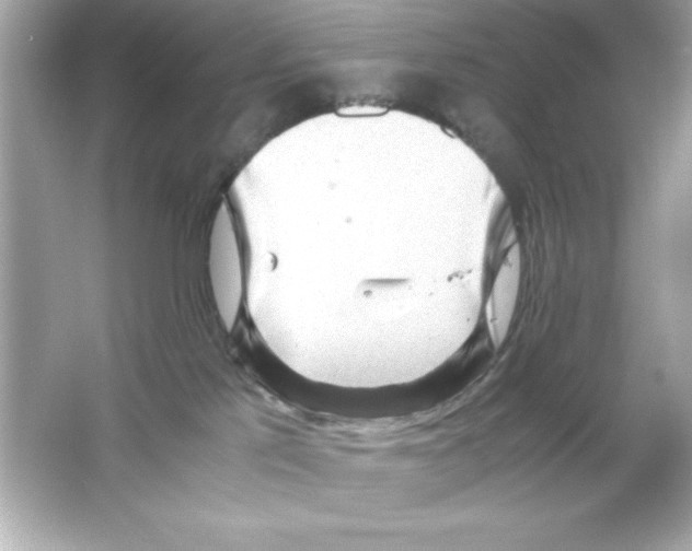 X0000065250041200603172216