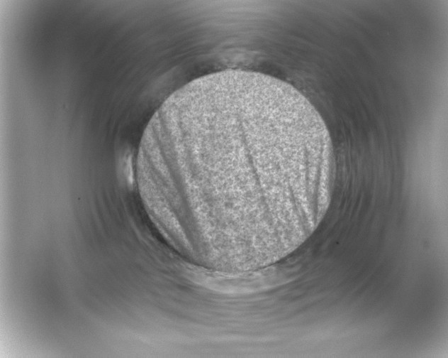 X0000065250042200603172216