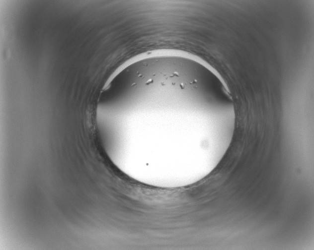 X0000065250044200603172216