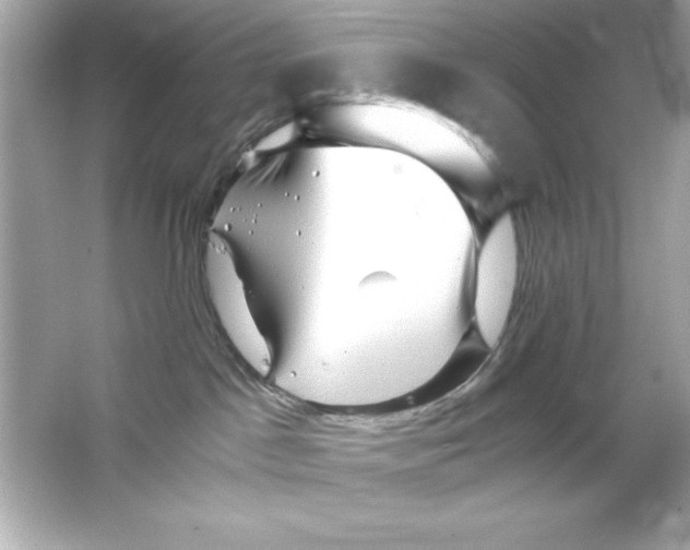 X0000065250045200603172216