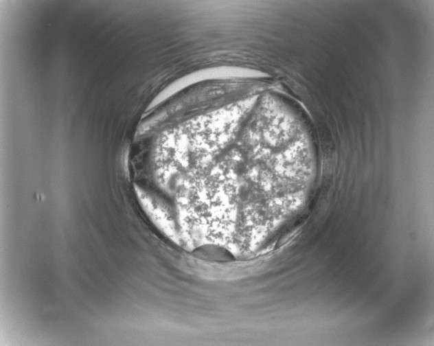 X0000065250047200603172215