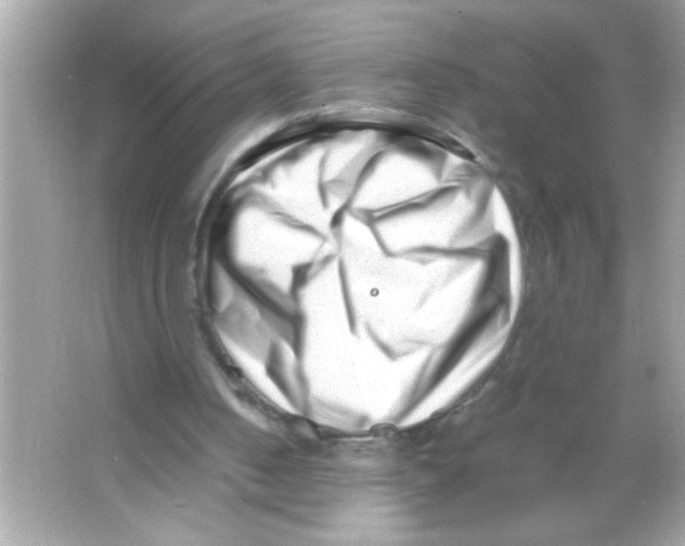 X0000065250050200603172215