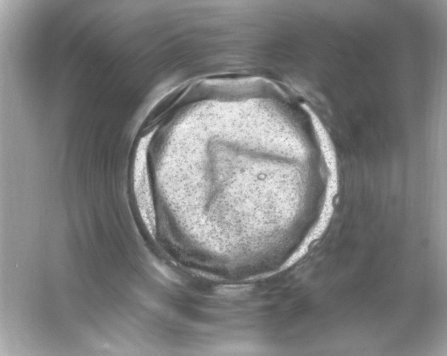 X0000065250051200603172215