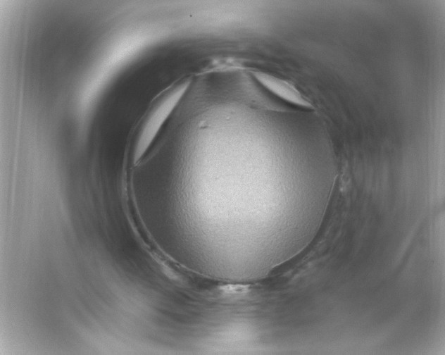 X0000065250052200603172215