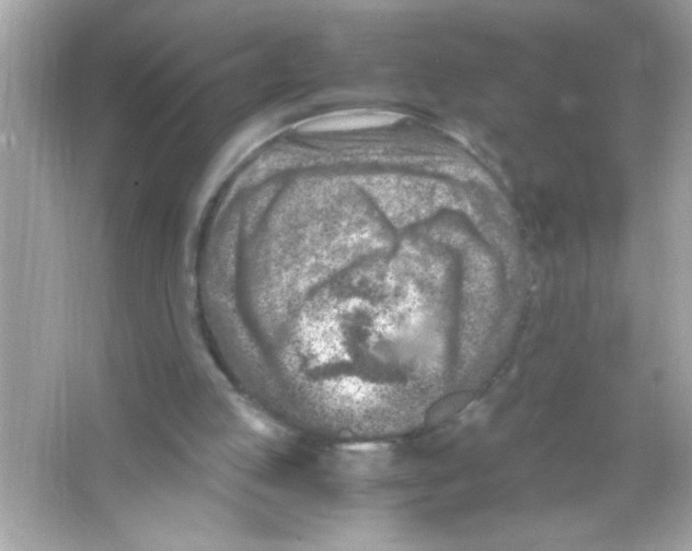 X0000065250053200603172215