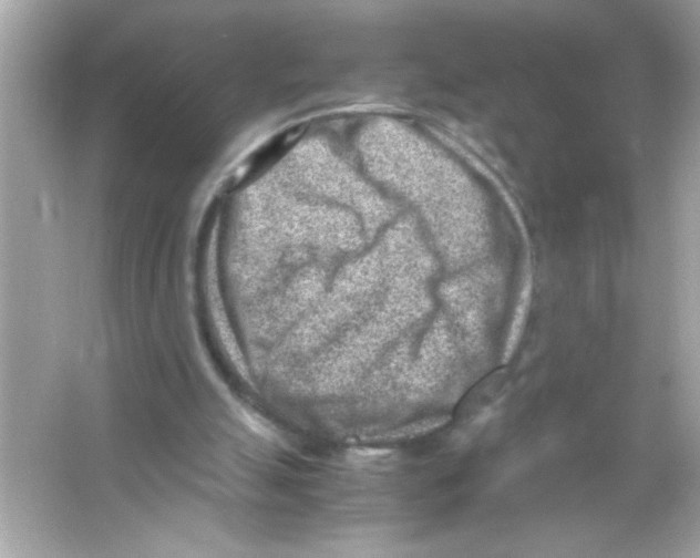 X0000065250055200603172215