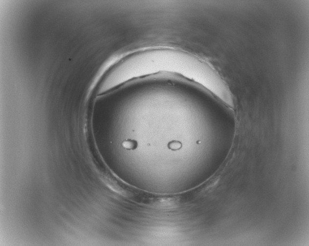 X0000065250056200603172215