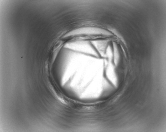 X0000065250057200603172215